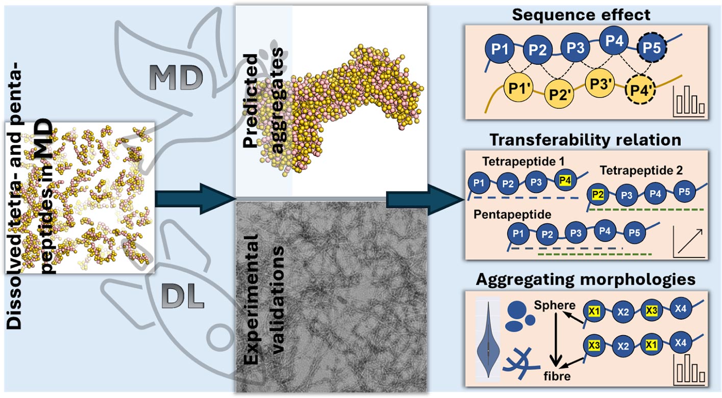 Aggregation-Rules-of-Short-Peptides.jpg