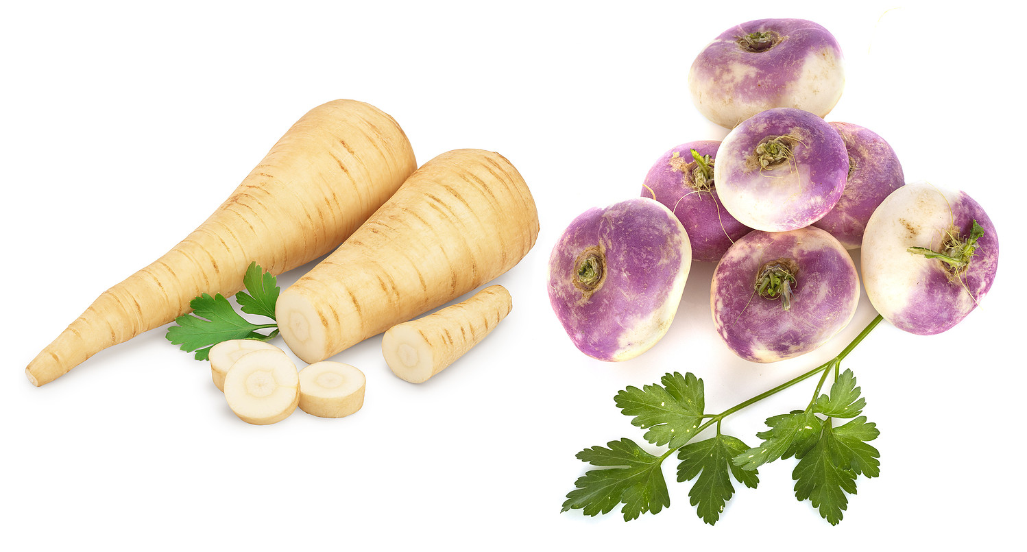 parsnip-vs-turnip.jpg