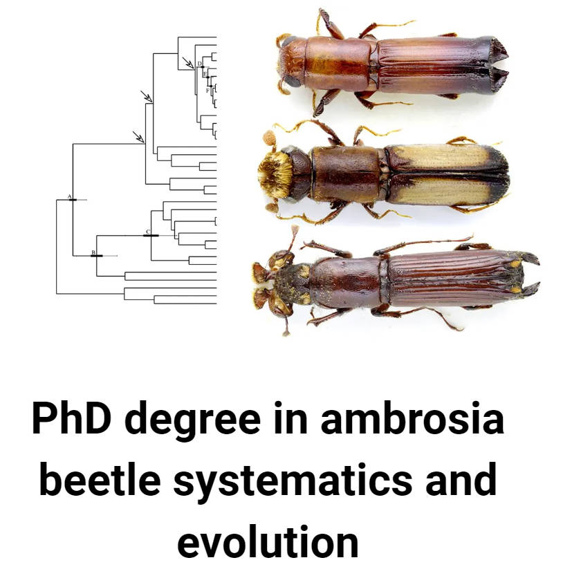 PhD position.jpg