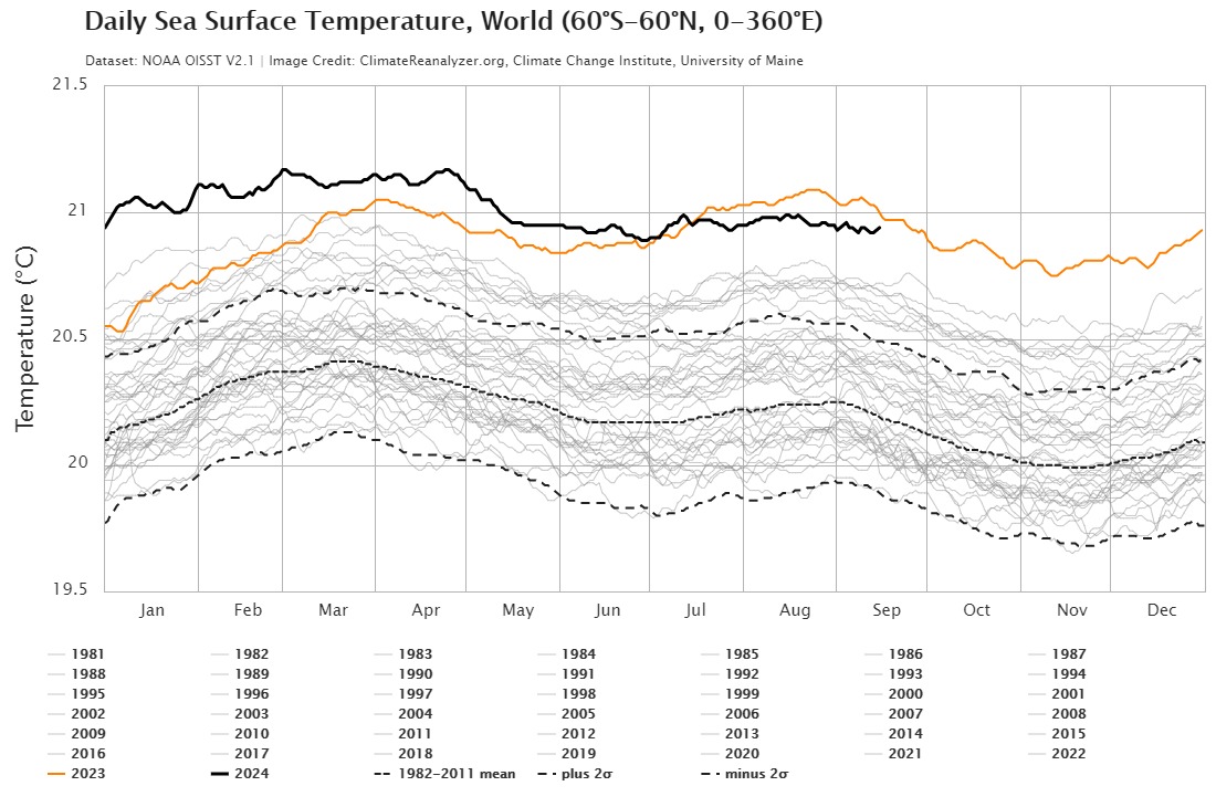 Daily Sea Surface Temperature  2024-09-16 11 world.jpeg