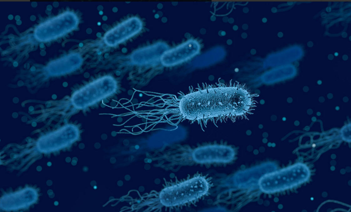 Bacteria-1.jpg