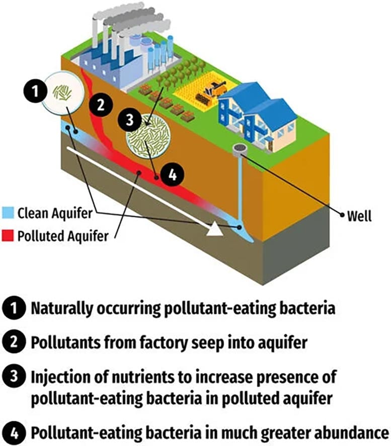 Microorganism-Groundwater-Cleanup-Schematic.jpg