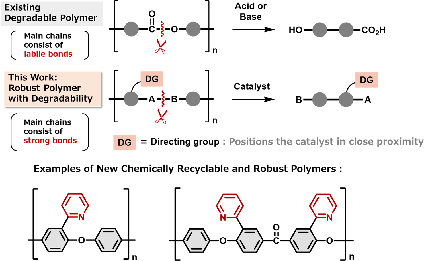 New-Robust-Polymers-That-Are-Chemically-Recyclable.png