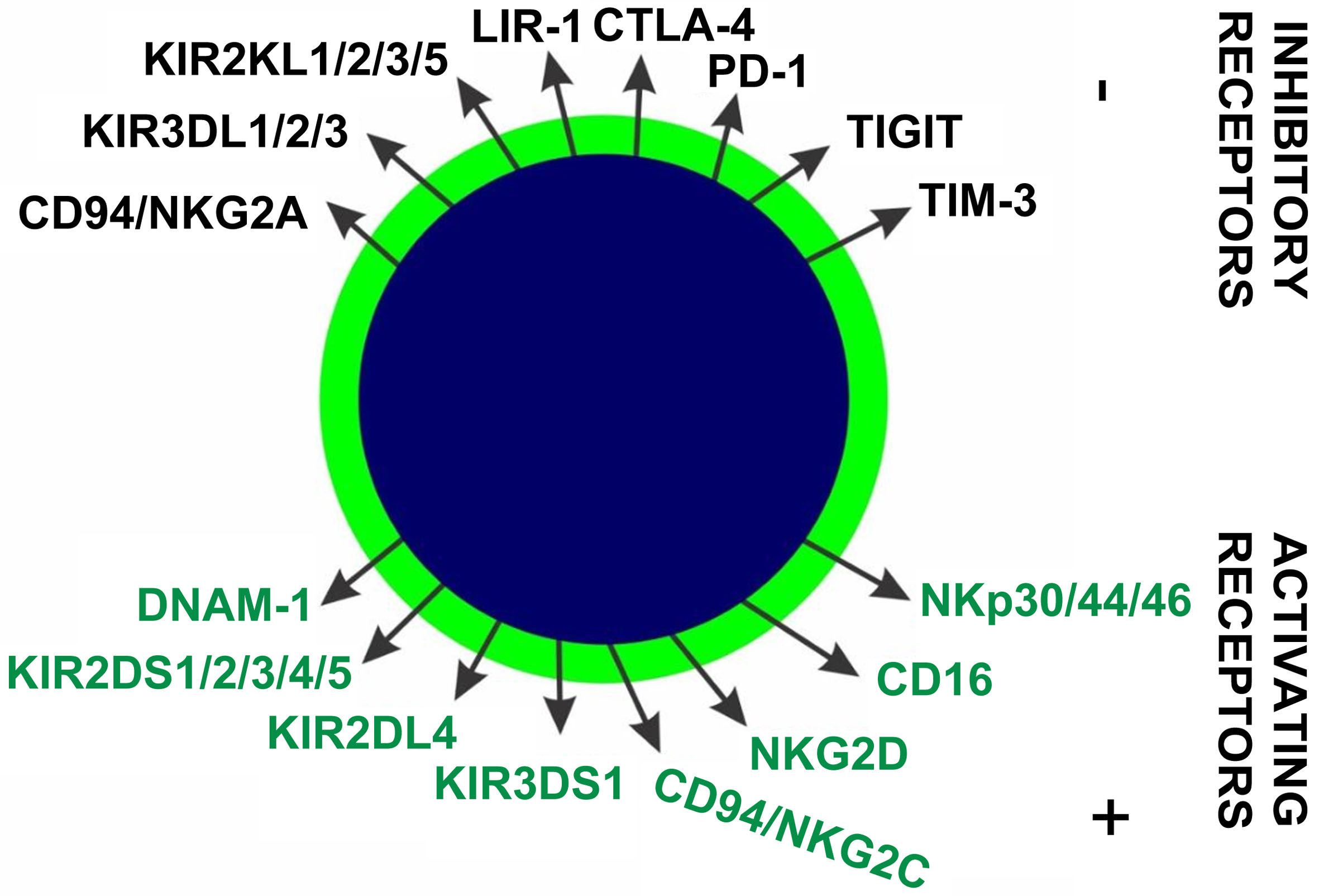 ONA-24-13-g003.jpg