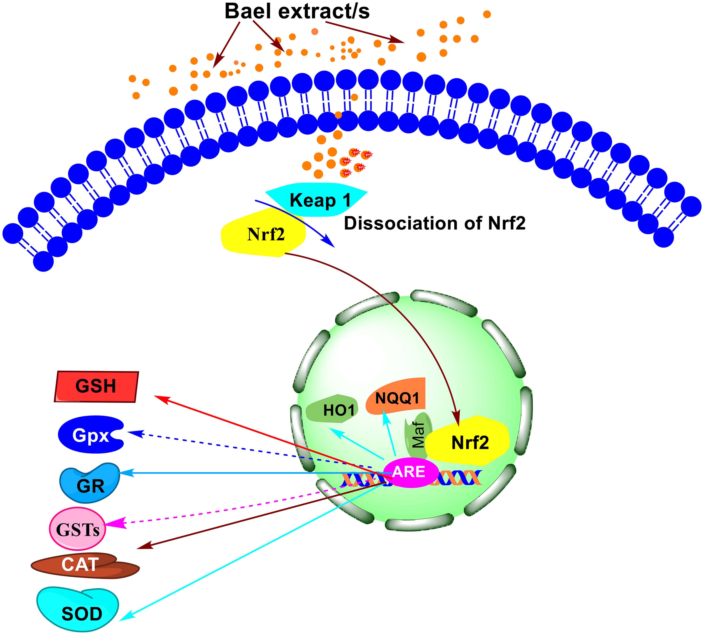 JERP-2023-00019-g004.jpg