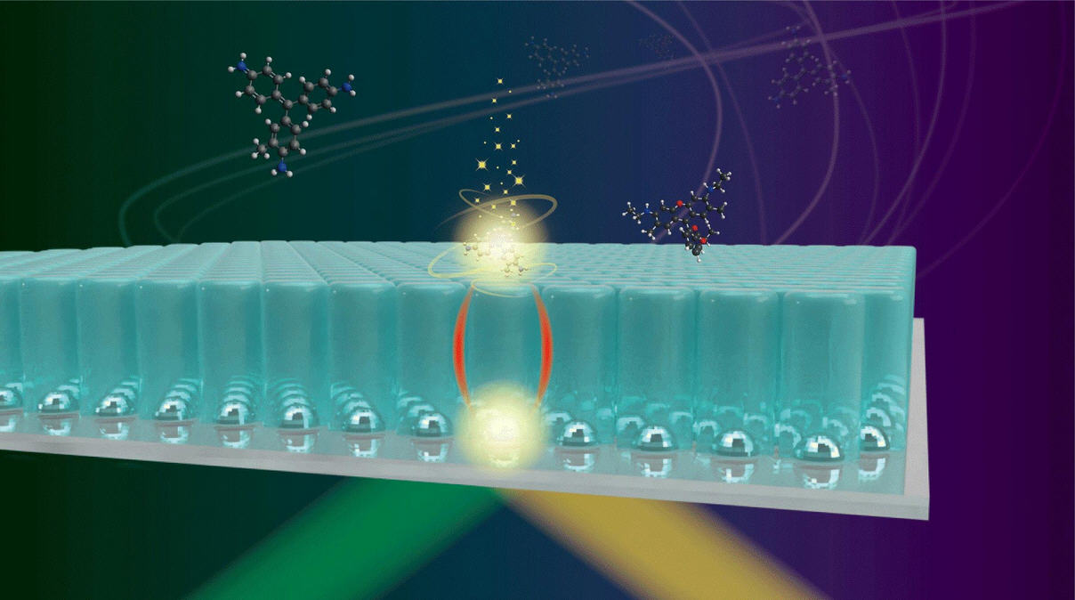 Long-Range-Interaction-Between-Metal-Nanoparticles-and-Target-Molecules.jpg