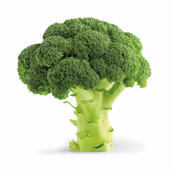 Broccoli-groente-veggipedia.png