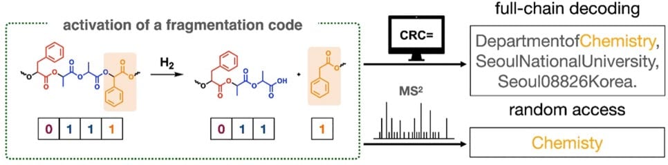 Synthetic-Polymer-Data-Storage.jpg