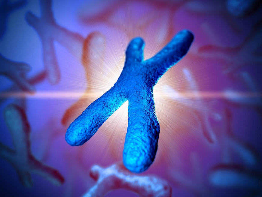 Chromosome-Genetics-Illustration.jpg