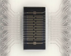 Biosensor_Chip.jpg