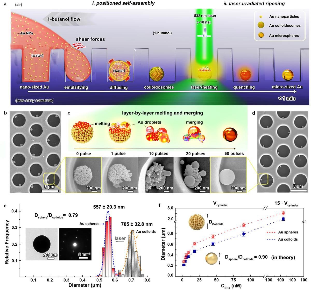 Rapid-Approach-to-Pure-Gold-Microsphere-Array-Fabrication.jpg