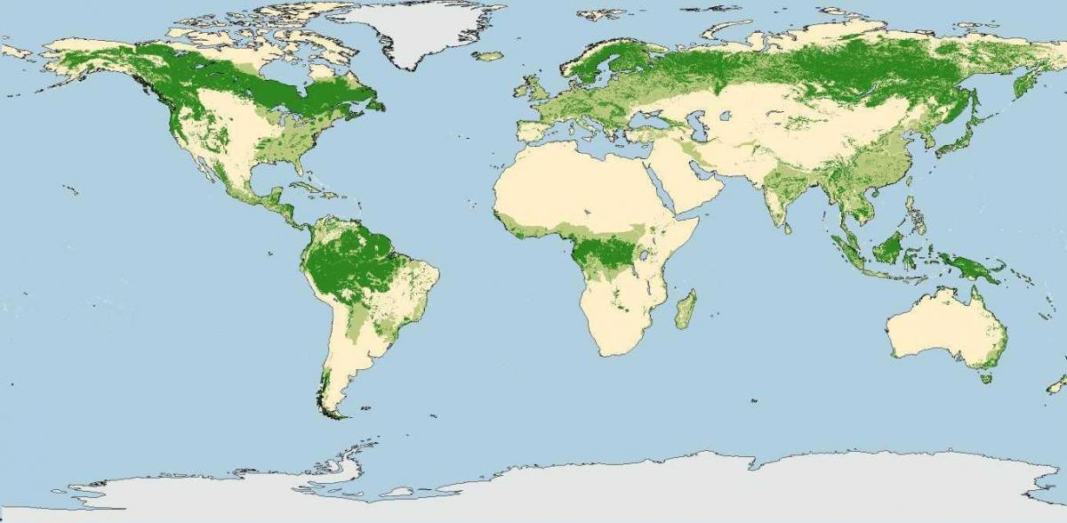 Australia forest map.jpg