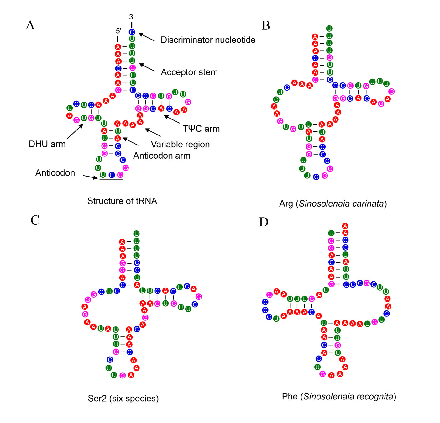 Fig.7.jpg