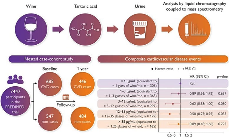 Wine-Consumption-and-Cardiovascular-Health-Infographic.jpg