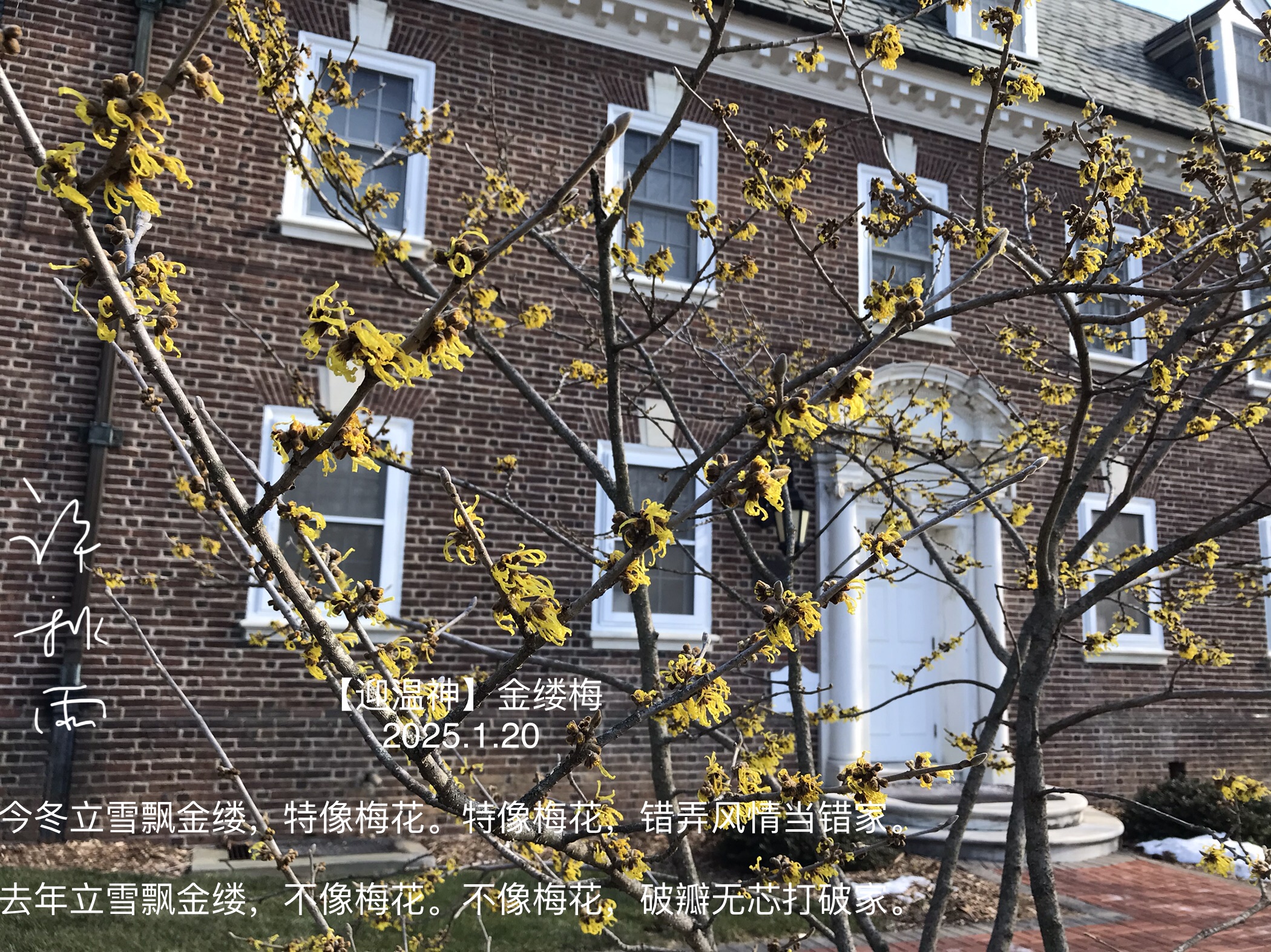 55C8C78A-4E09-44A9-99C6-A446281E2C08.jpeg