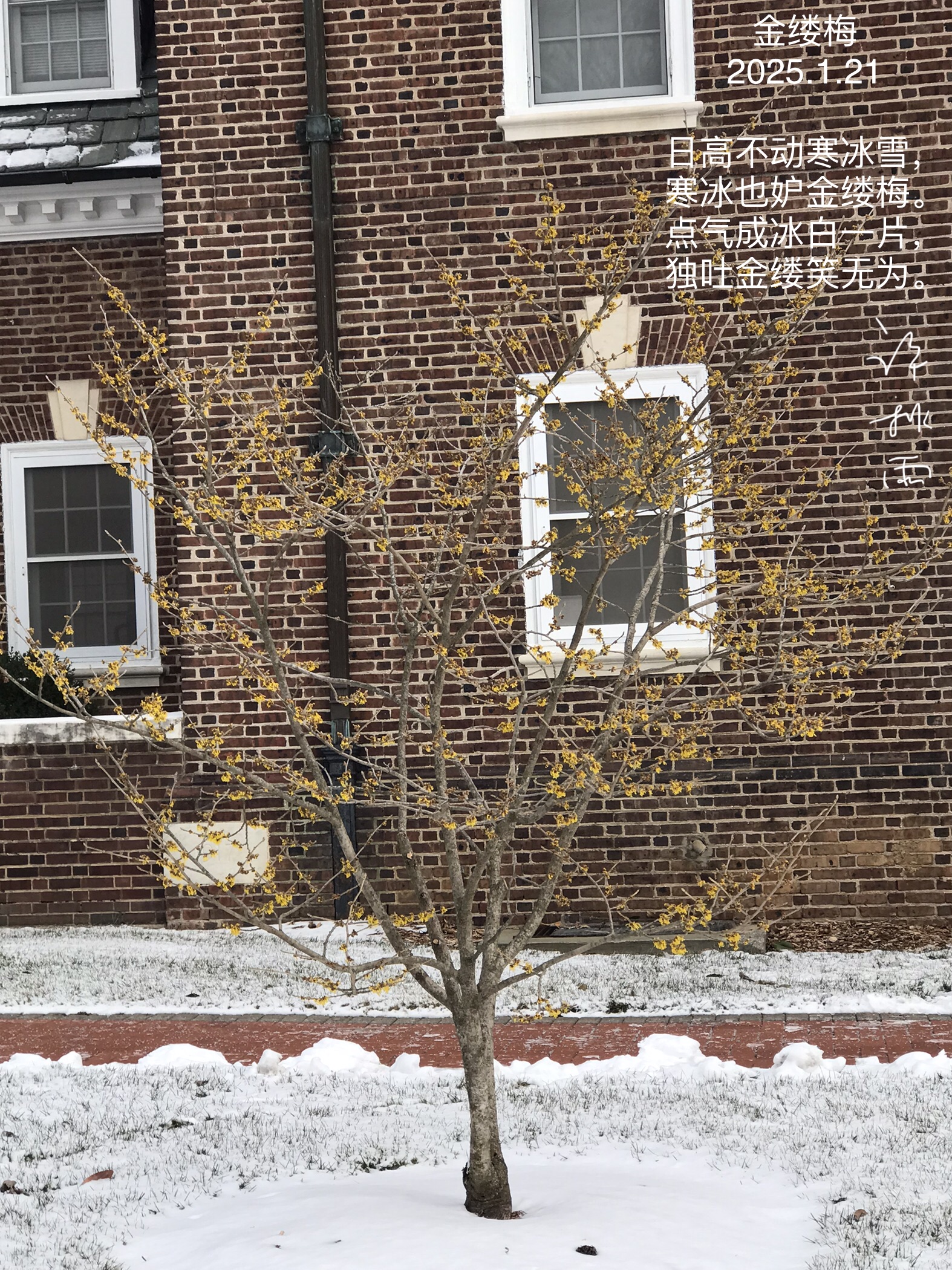 DE795014-C61F-4A00-B500-0881B0A962A1.jpeg