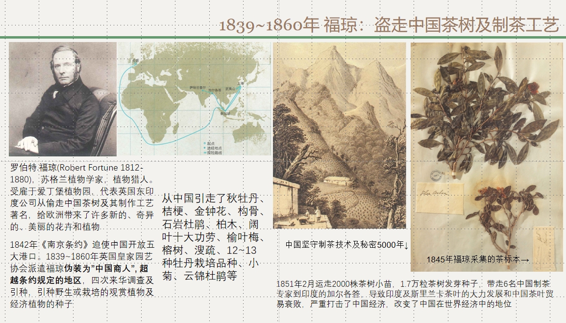 ͼ 1839~1860긣йƲ蹤.png