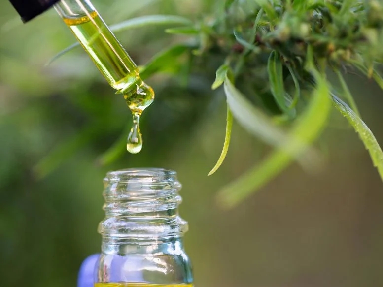 Cannabidiol-CBD-777x583.webp.jpg