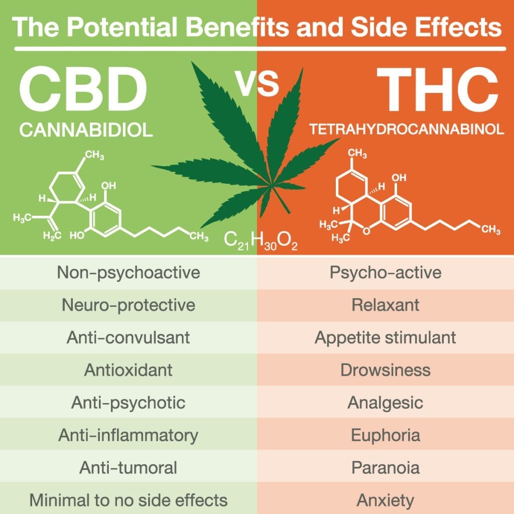 CBD-vs-THC-1024x1024.jpg