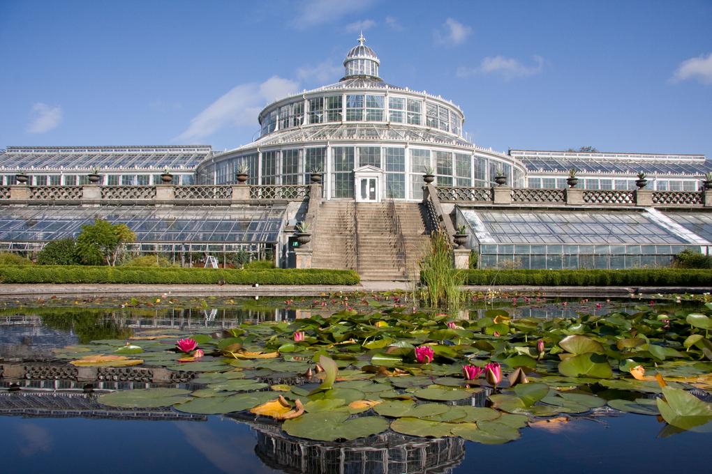 1 Palmehuset2-Botanisk-Have-Jens-Astrup-StatensNaturhistoriske-Museum.jpeg