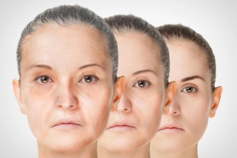 Anti-Aging-Rejuvenation-Concept-777x518.webp.jpg