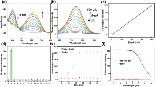 smo212116-fig-0001-m.png