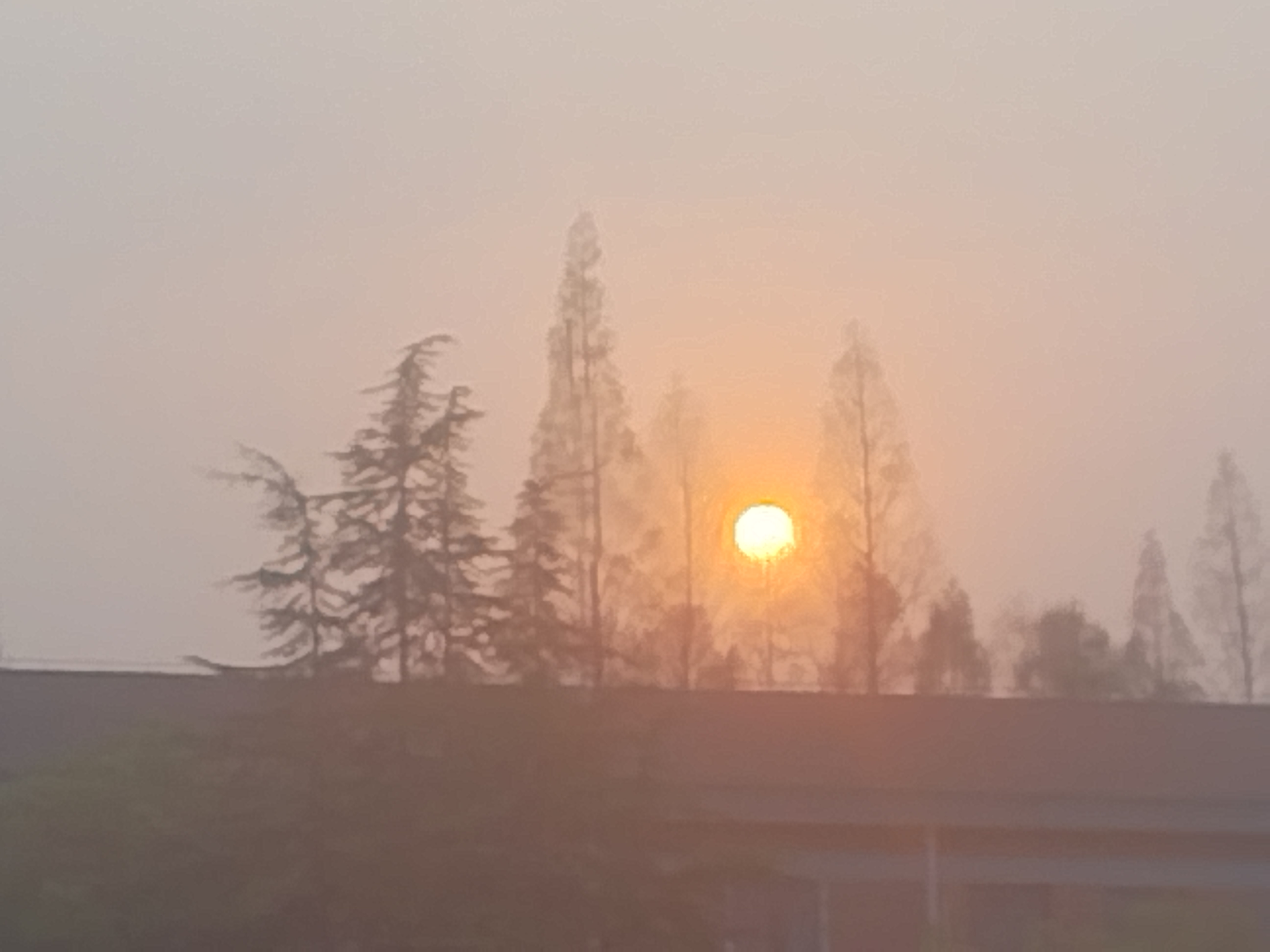 落日圆1.jpg