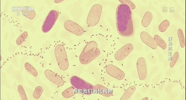 3.gif