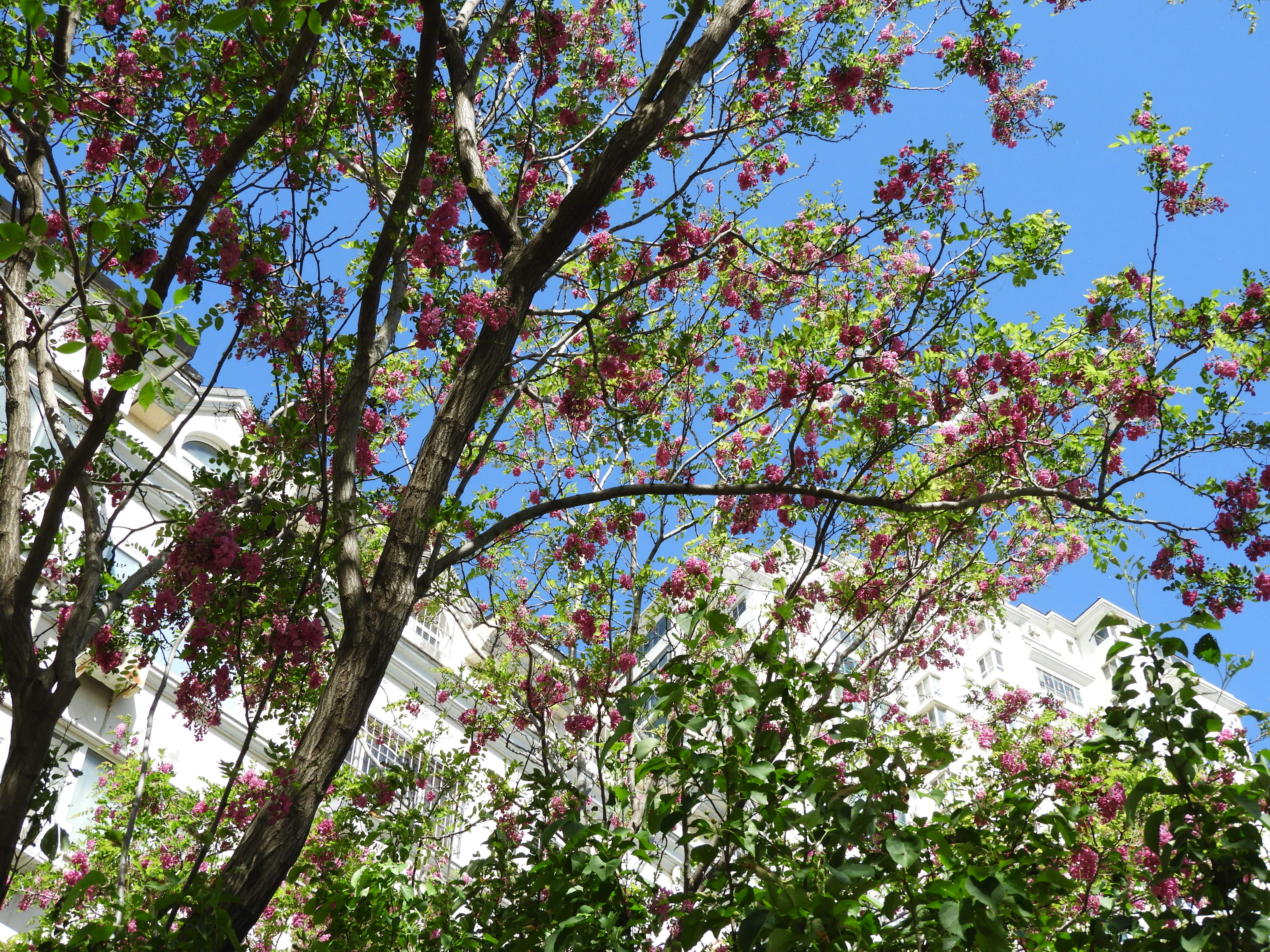 DSCN6072.JPG
