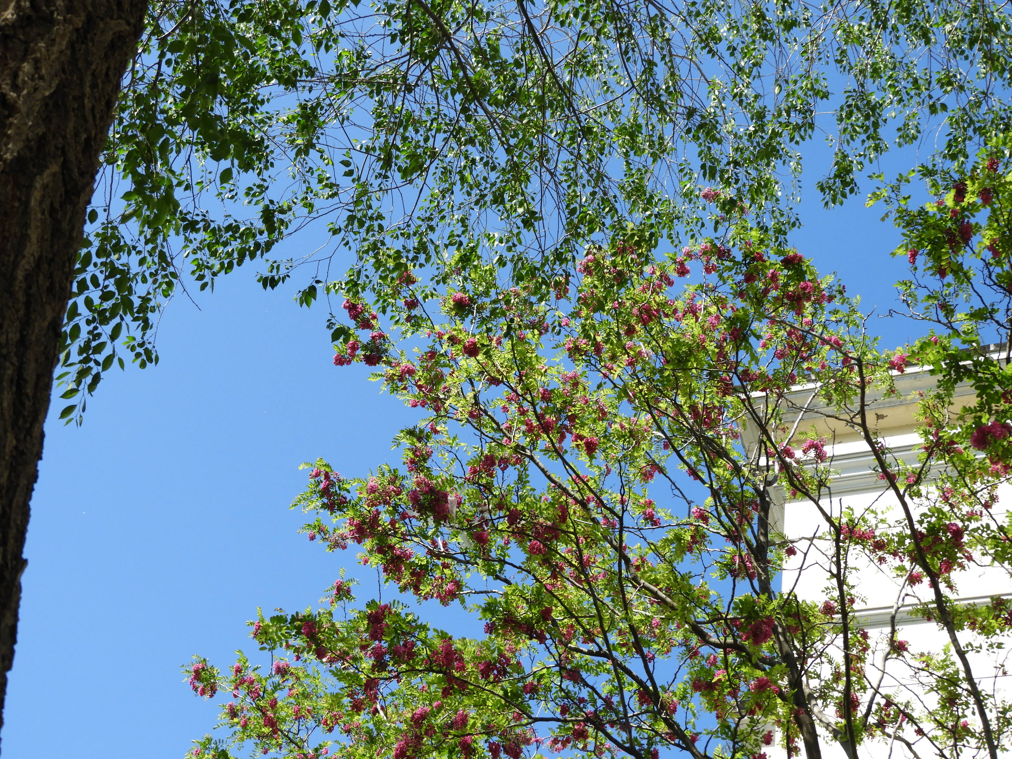 DSCN6071.JPG