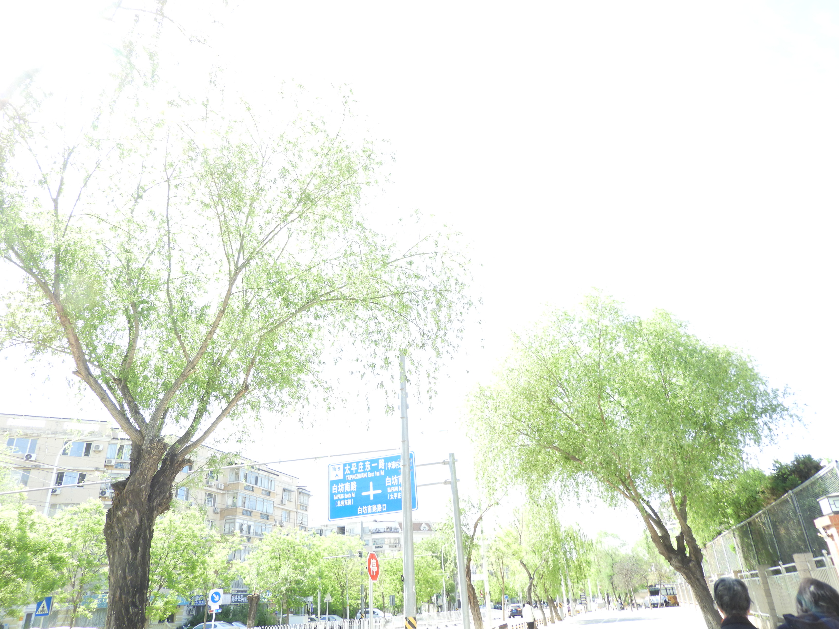 DSCN6018.JPG