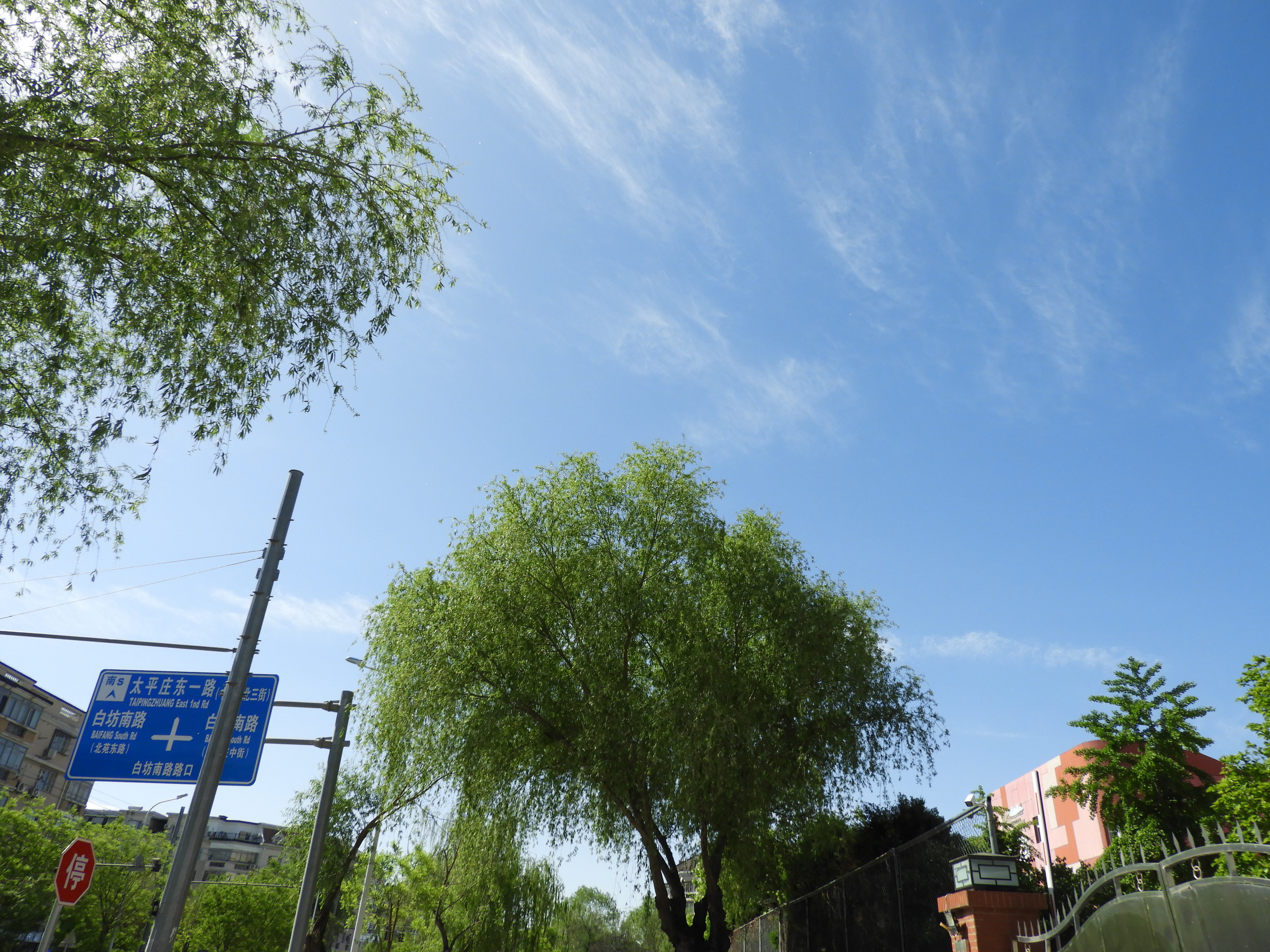 DSCN6020.JPG