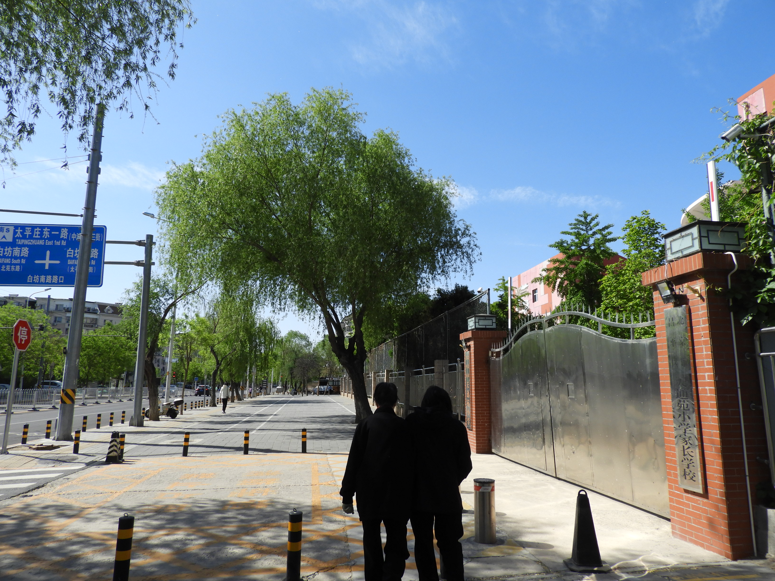 DSCN6019.JPG