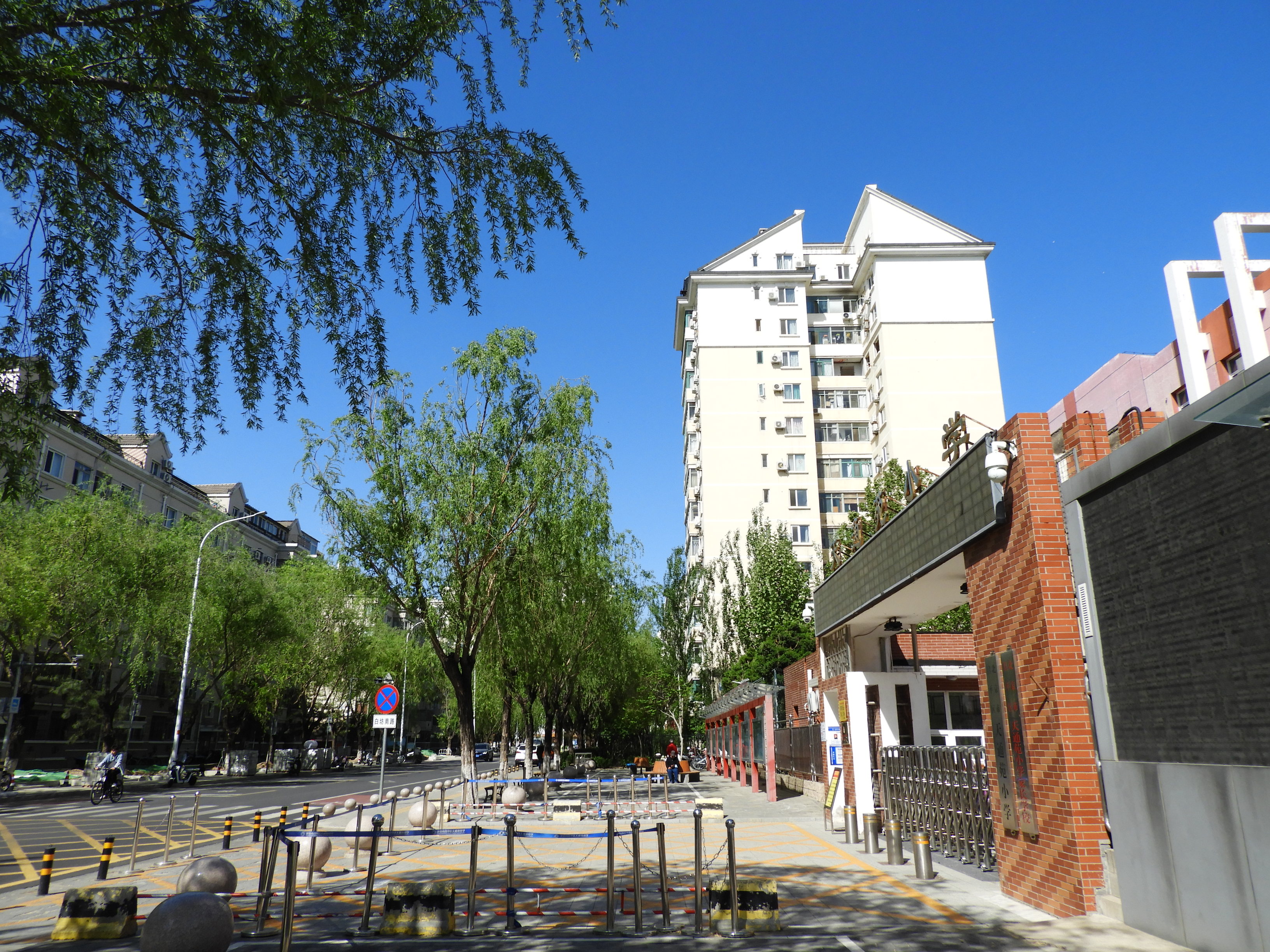 DSCN6034.JPG