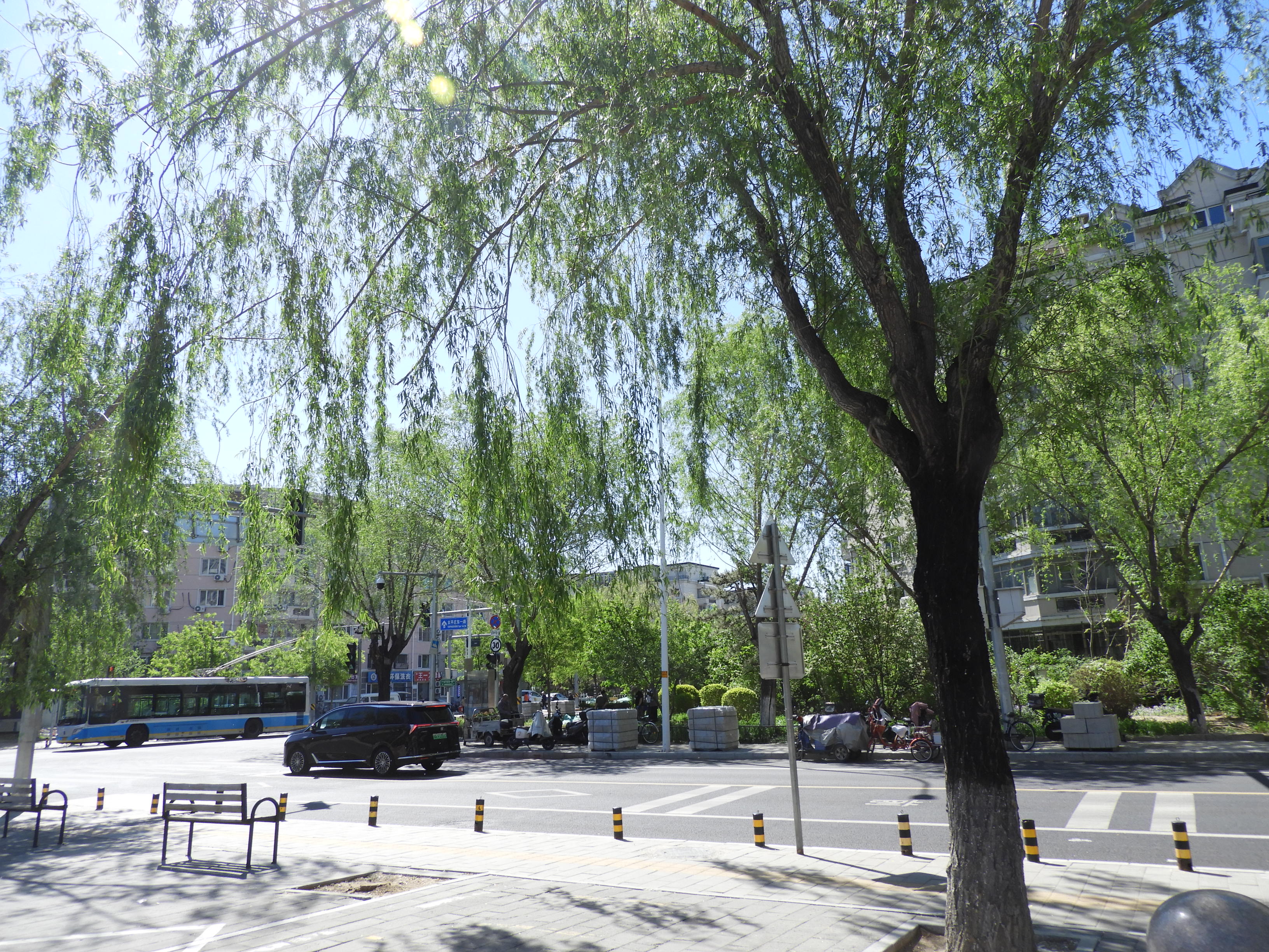 DSCN6109.JPG