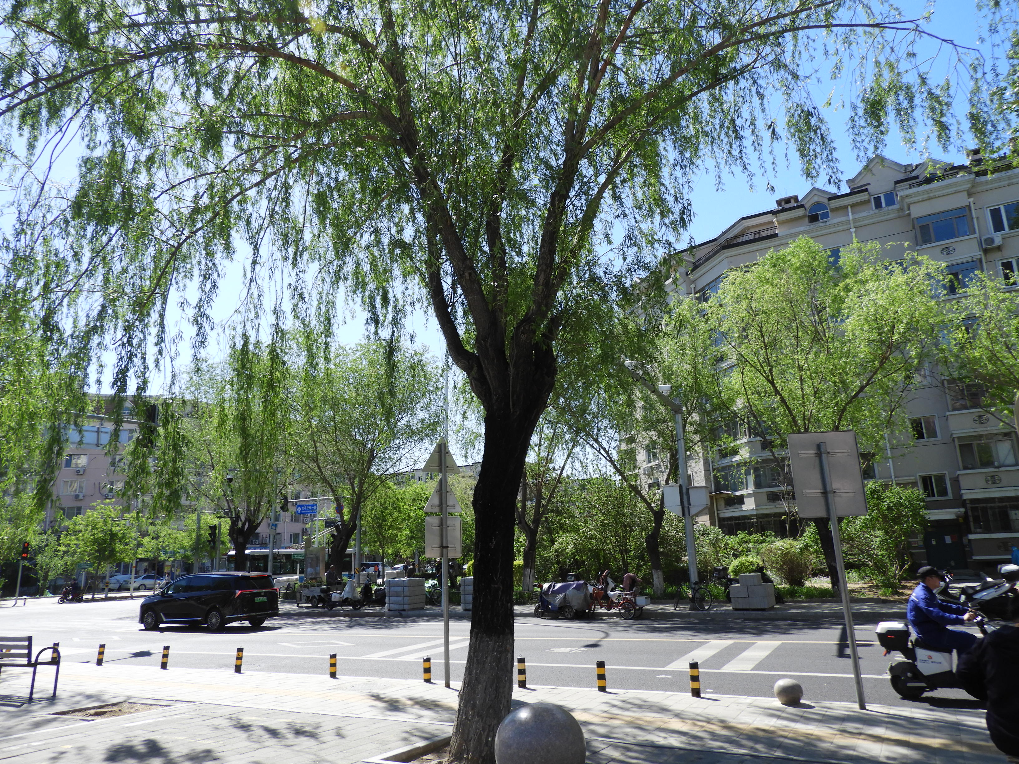 DSCN6108.JPG