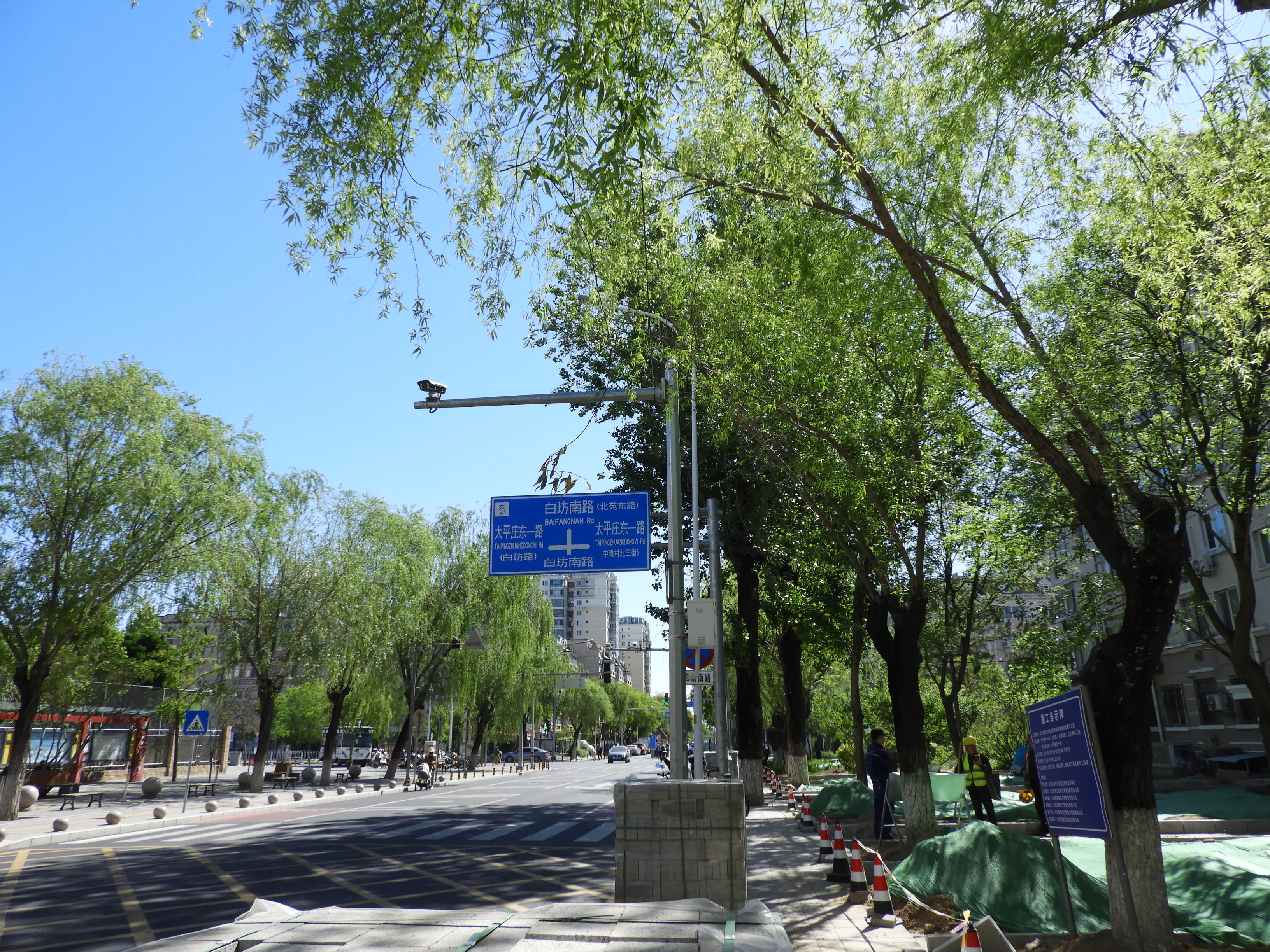 DSCN6103.JPG