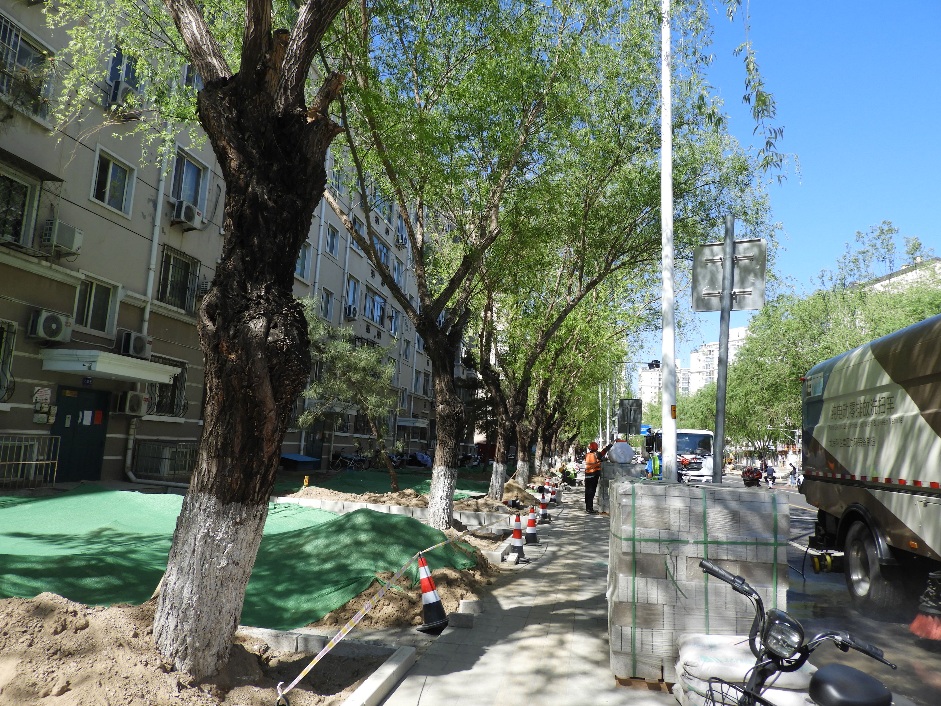 DSCN6099.JPG