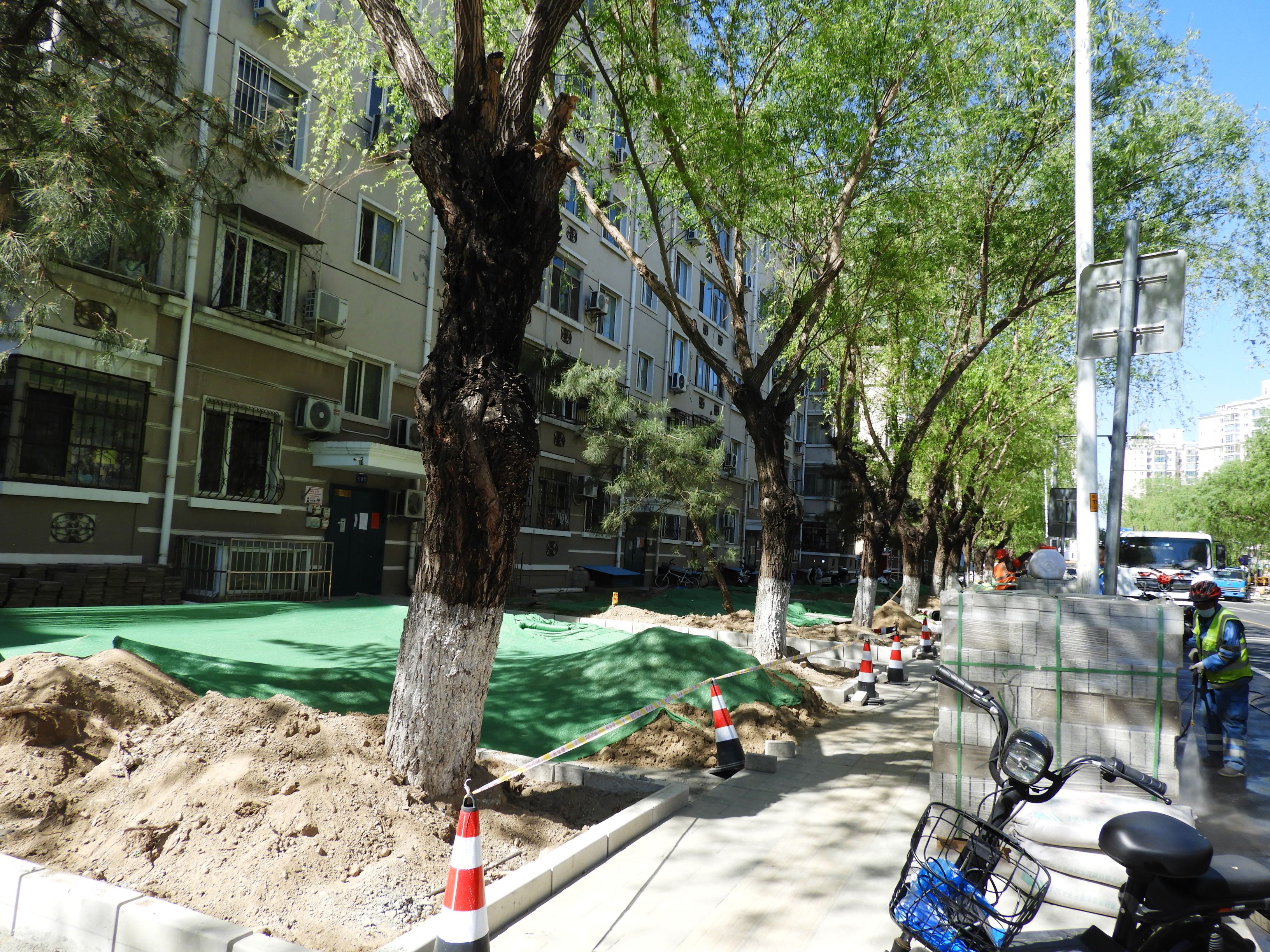 DSCN6098.JPG