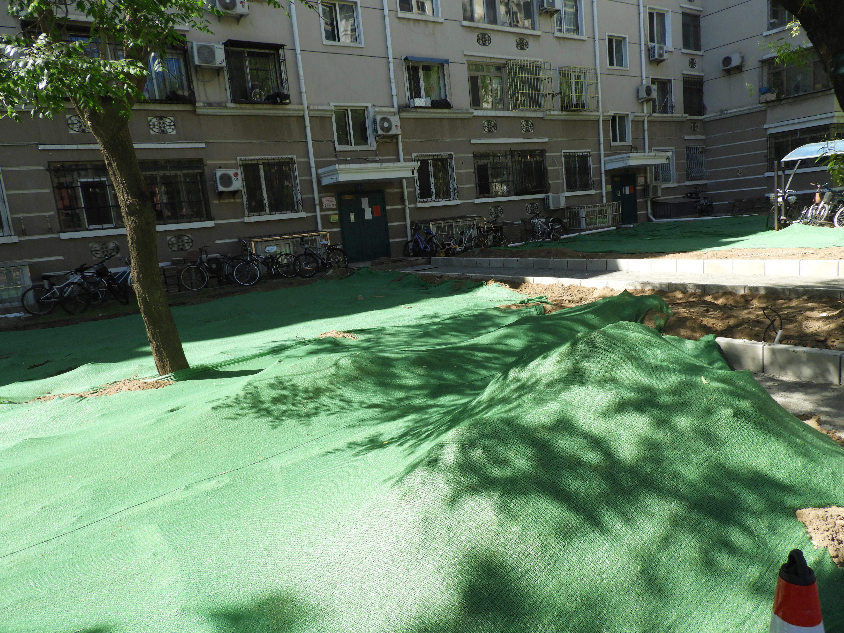 DSCN6091.JPG