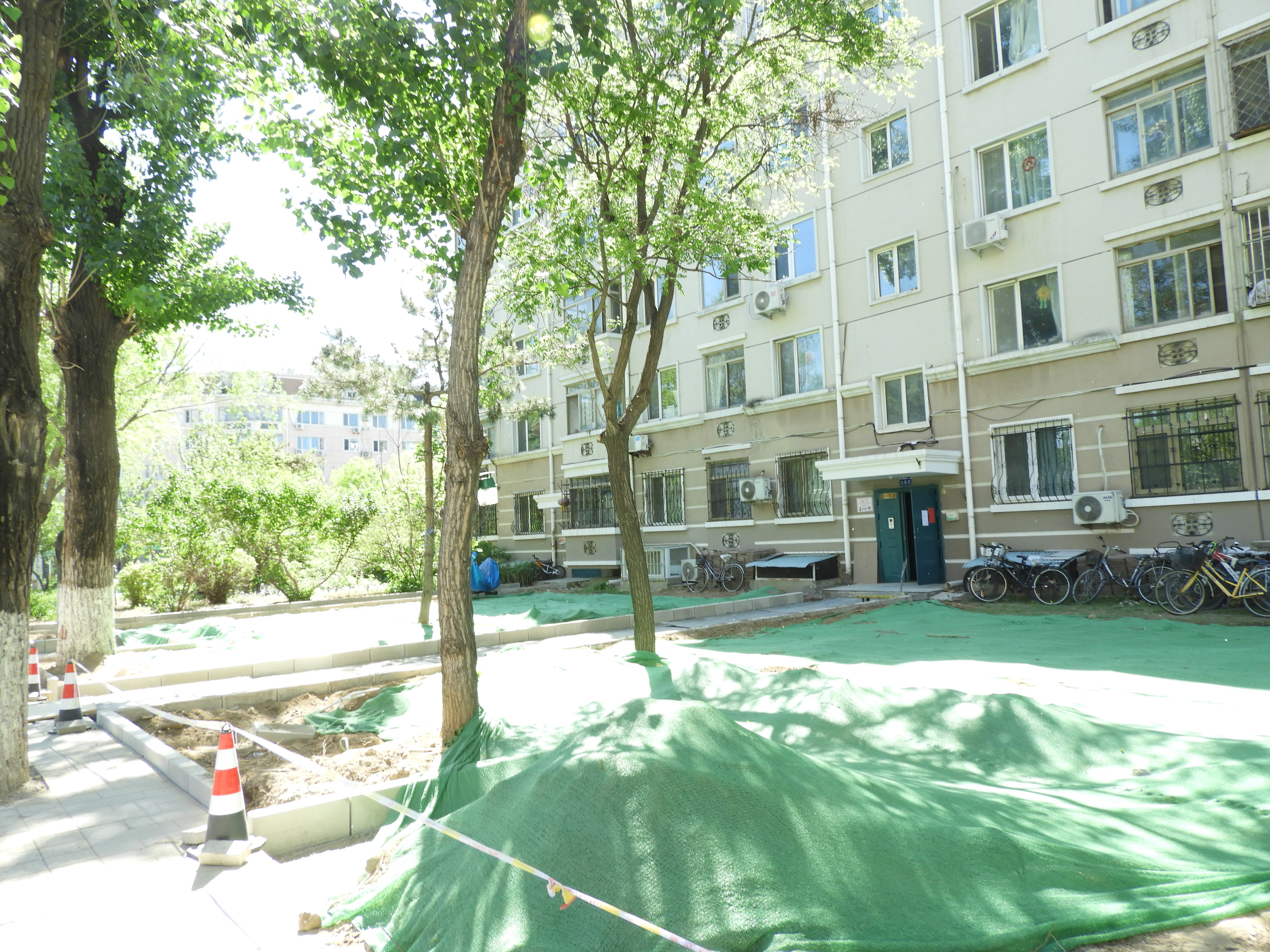 DSCN6087.JPG
