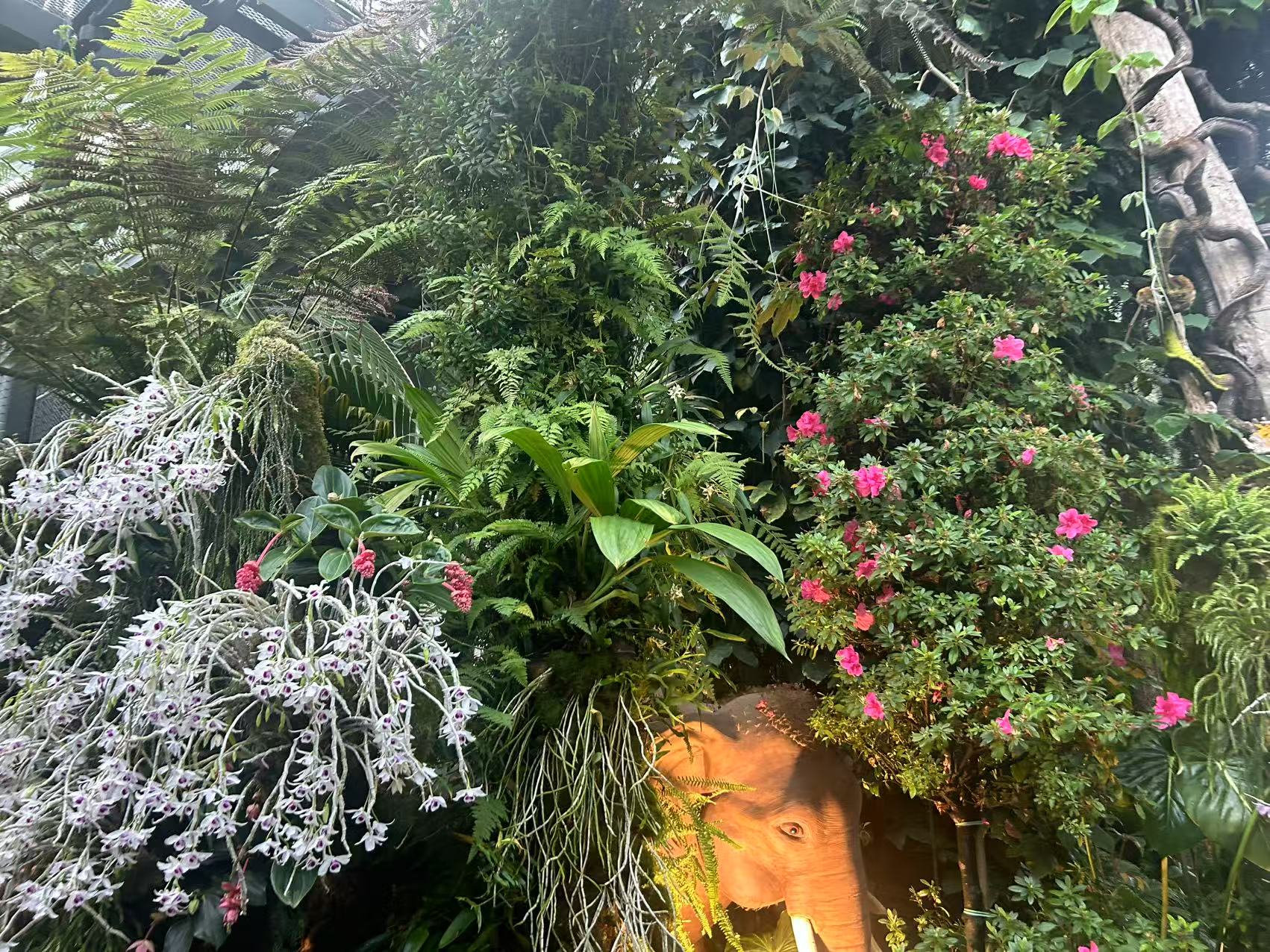 ΢ͼƬ_20250428213132.jpg