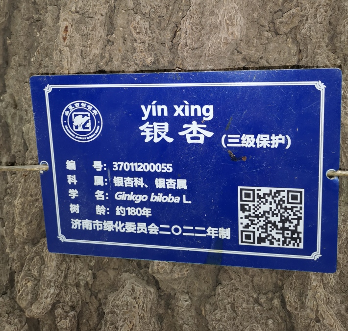 ͼ6.jpg