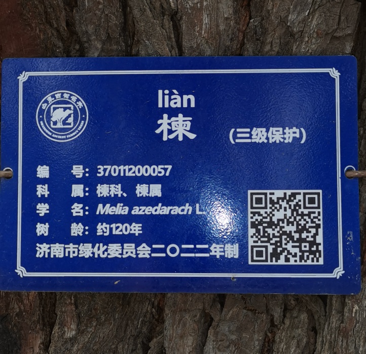 ͼ10.jpg