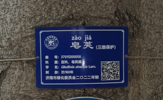 ͼ12.jpg