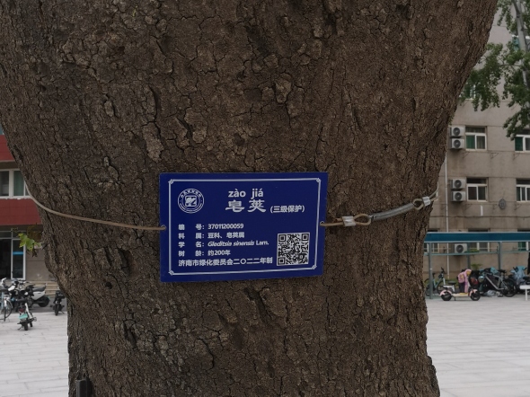 ͼ14.jpg