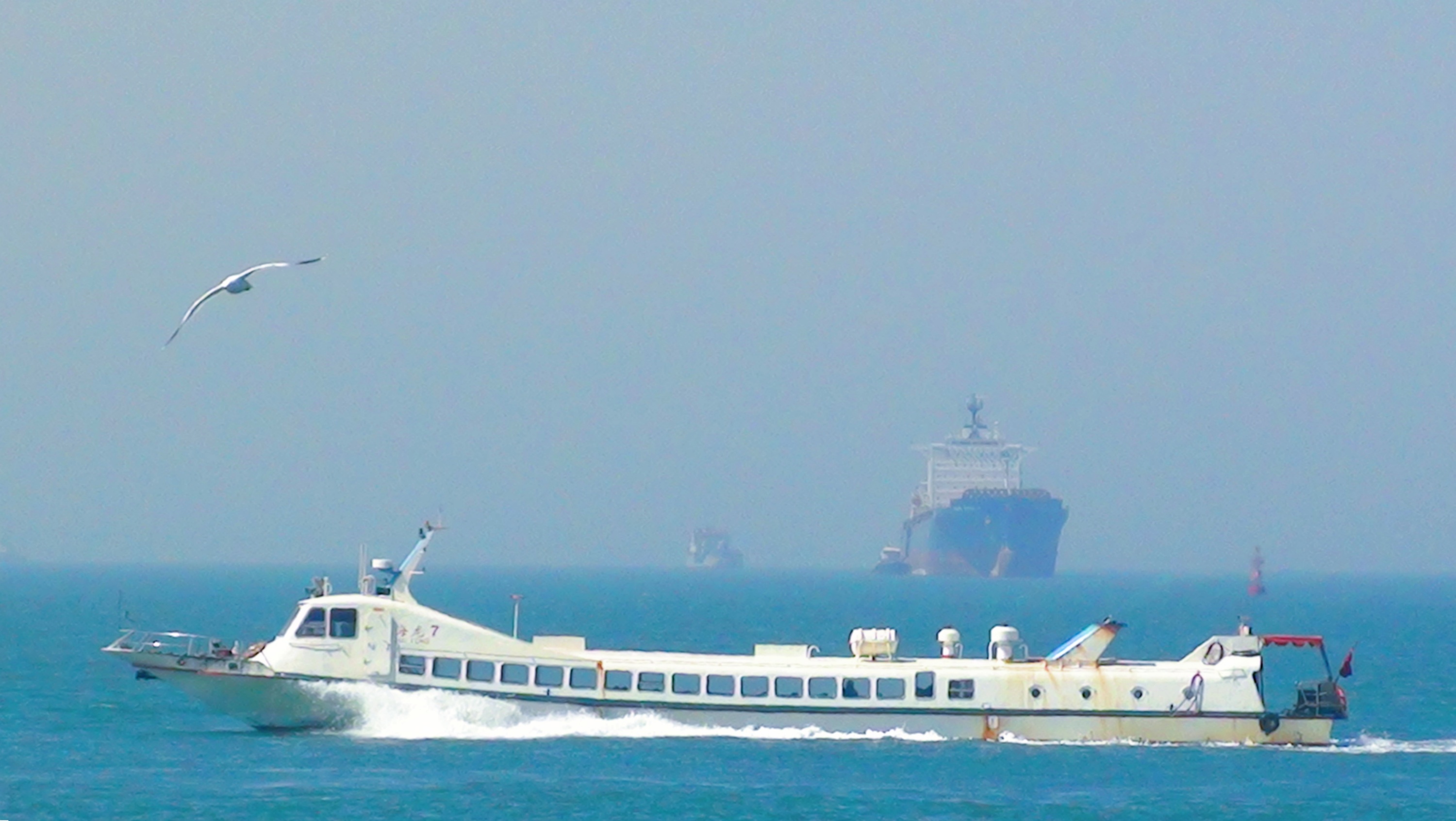 DSC03087.JPG