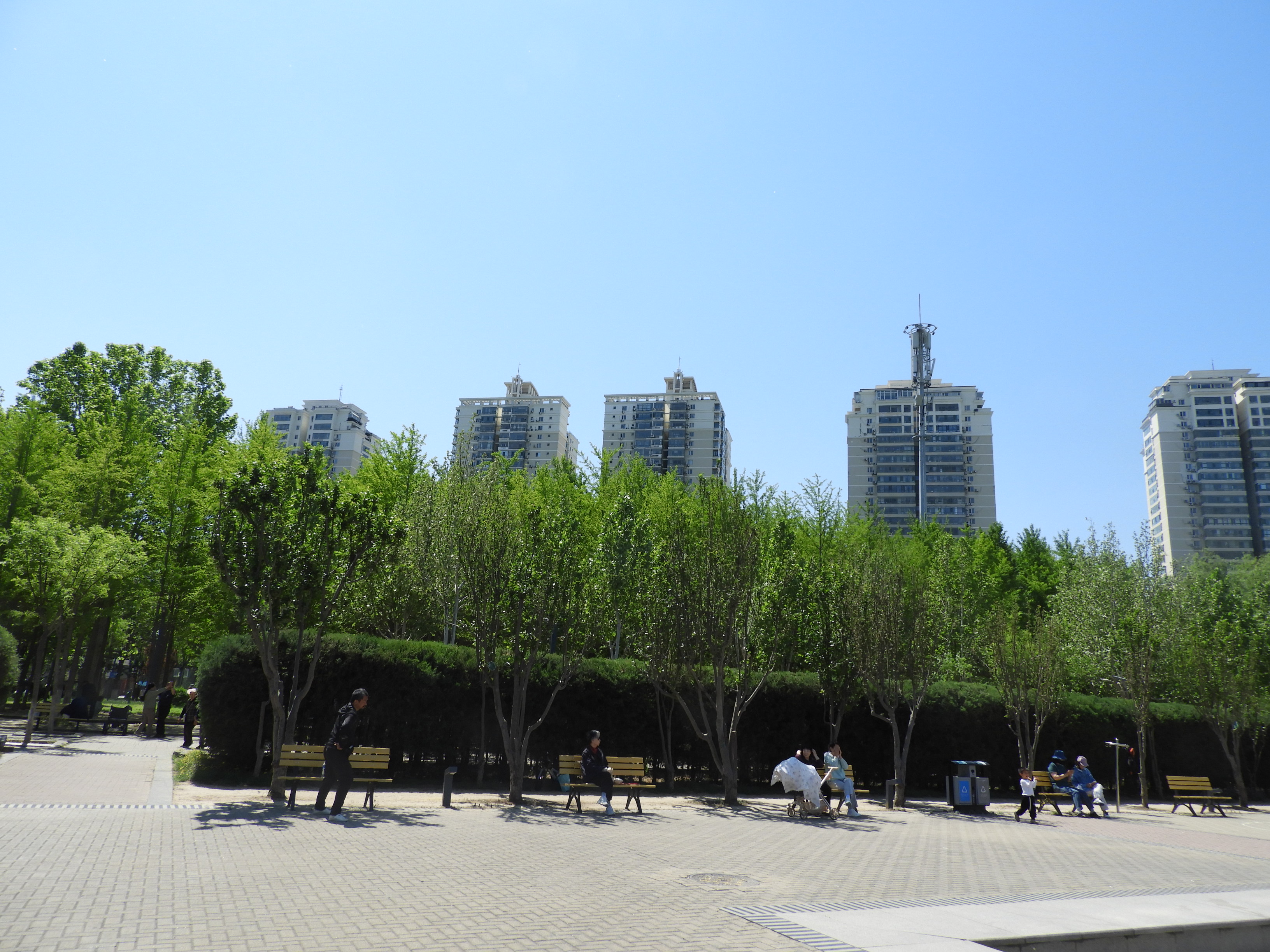 DSCN6352.JPG