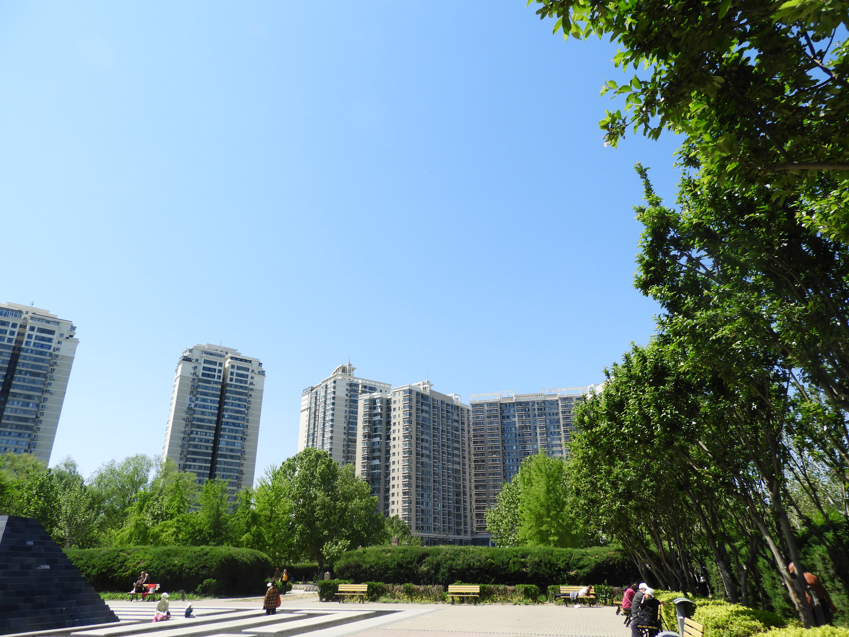 DSCN6351.JPG