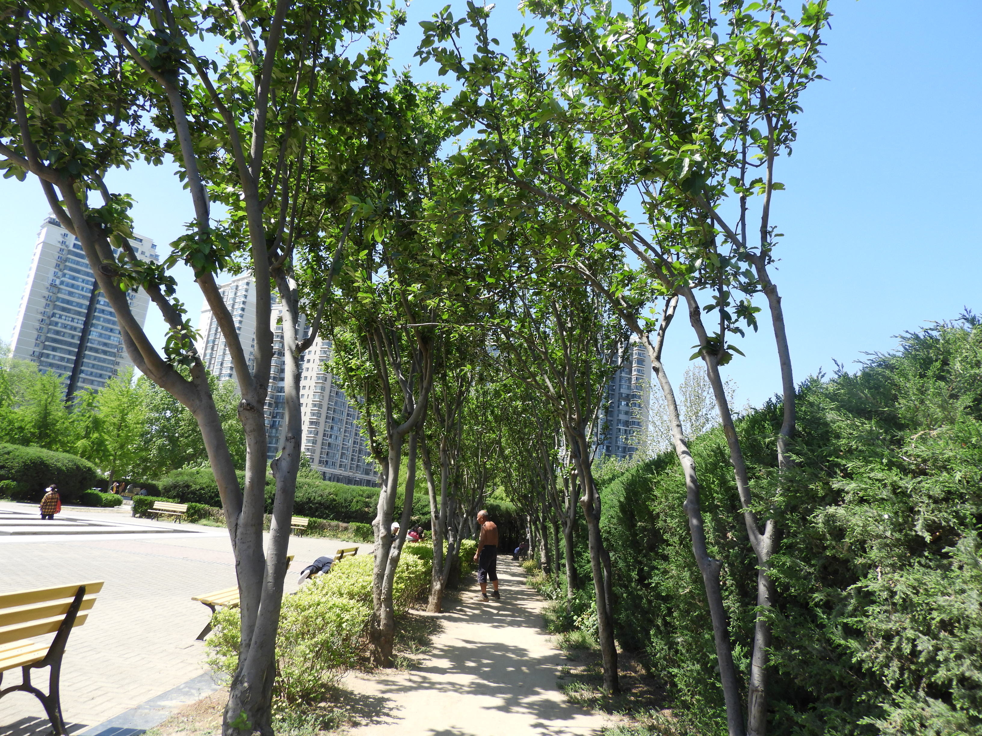 DSCN6350.JPG